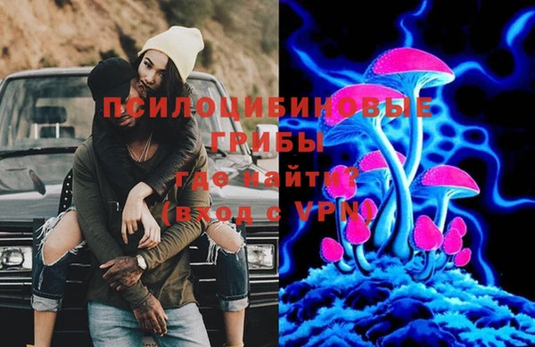 эйфоретик Верея