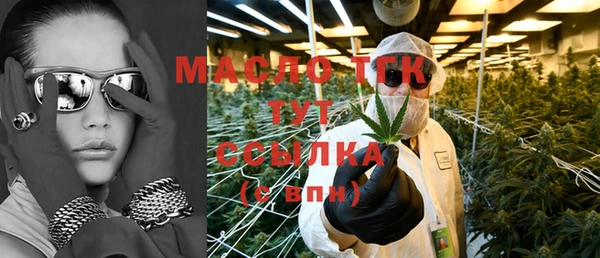индика Бугульма