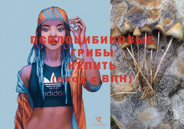 эйфоретик Верхний Тагил