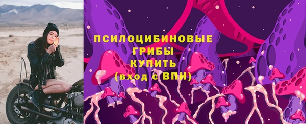 эйфоретик Верея