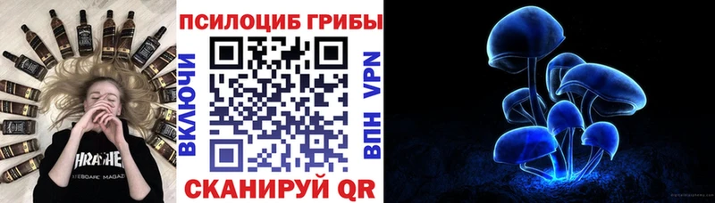 Псилоцибиновые грибы Psilocybine cubensis Брюховецкая